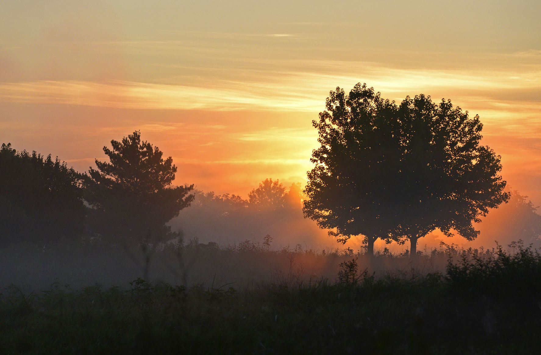 Good morning, sunshine!